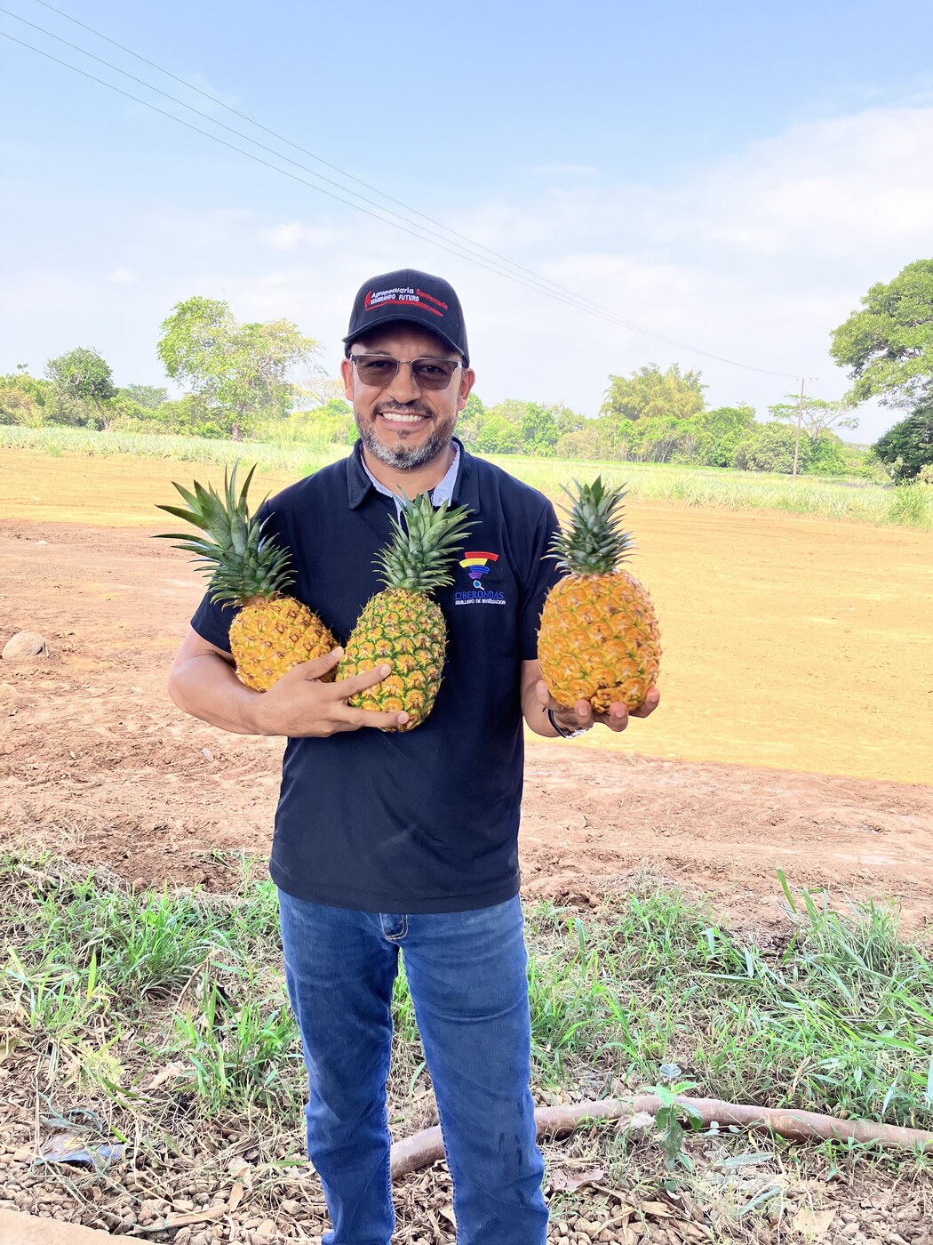 Investigador Ciberondas en cultivo de piña