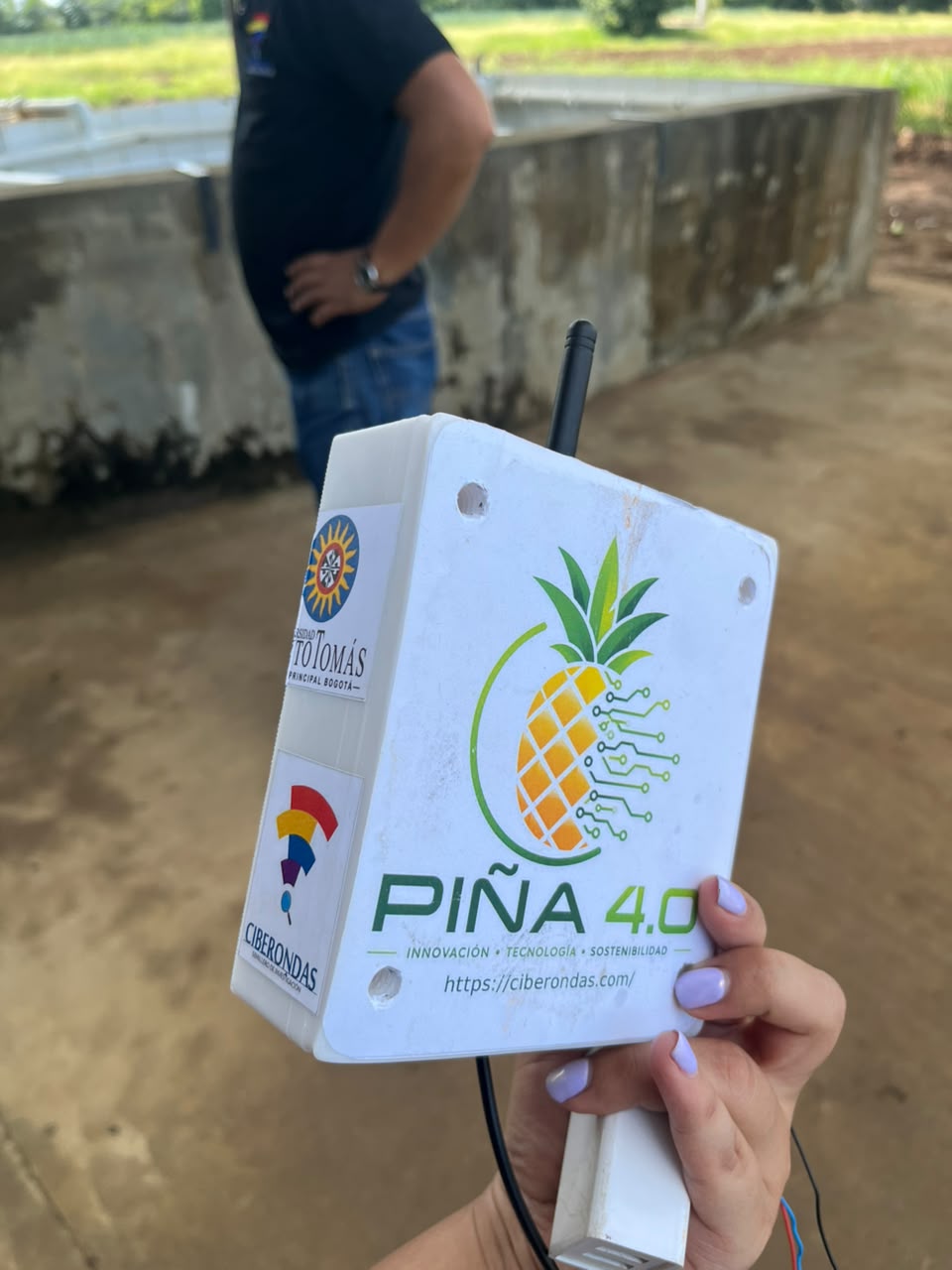 Nodo Piña 4.0 en el cultivo