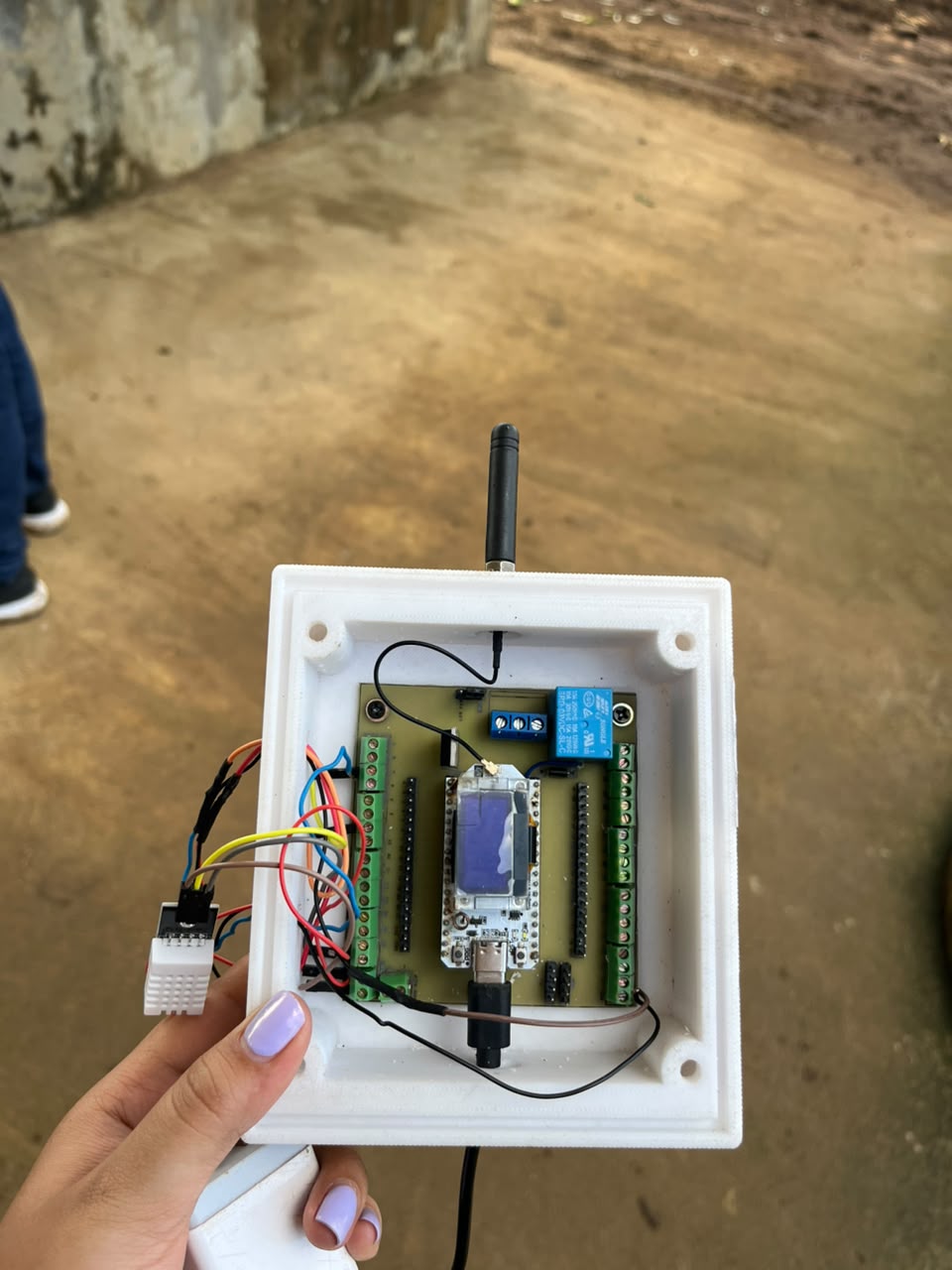 Interior del nodo Piña 4.0